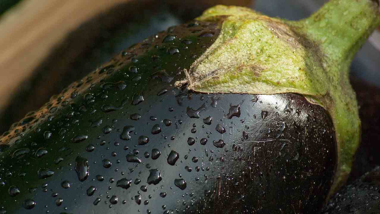 melanzana frutto verdura