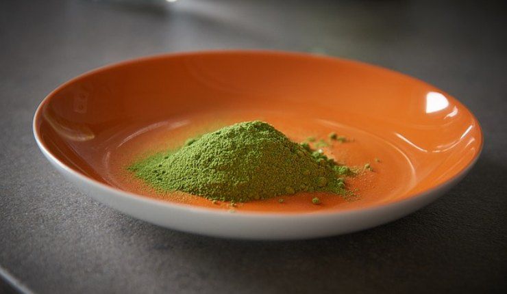 moringa