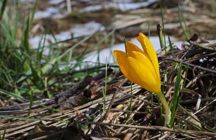 Primavera cambio stagione
