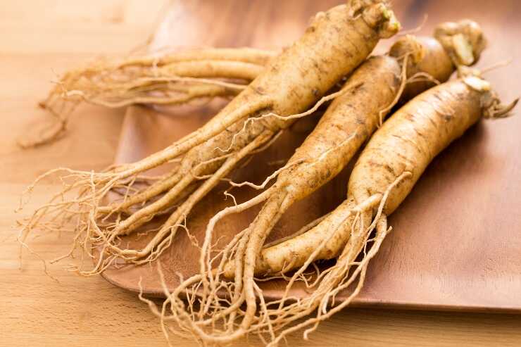 Radici di ginseng