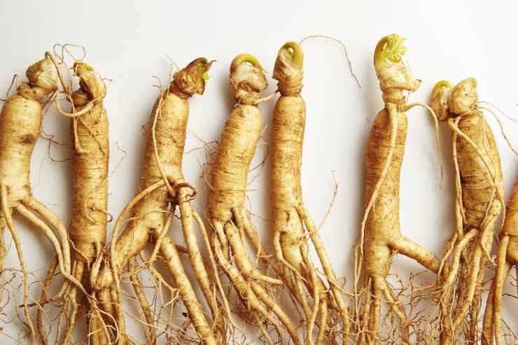 Ginseng: proprietà e caratteristiche