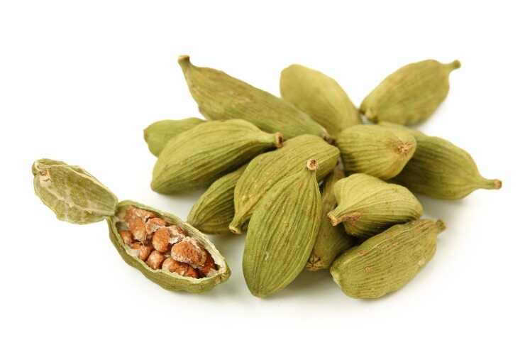 Cardamomo