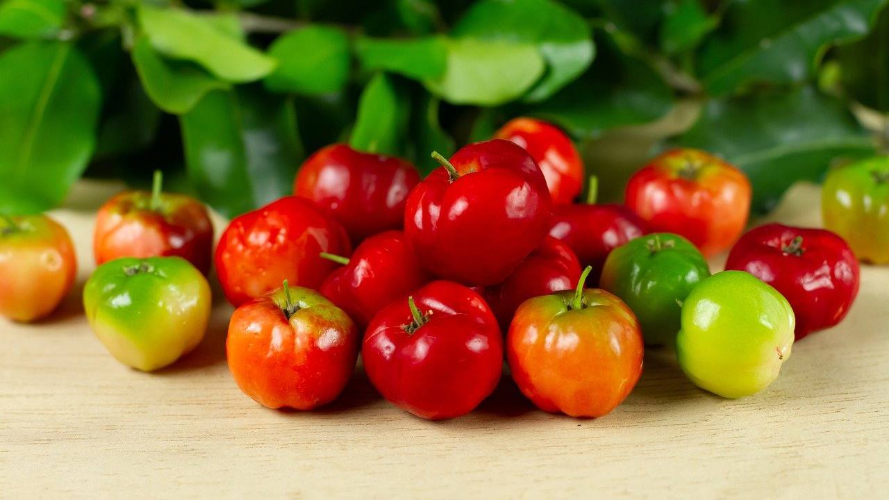 benefici acerola frutto vitamina C