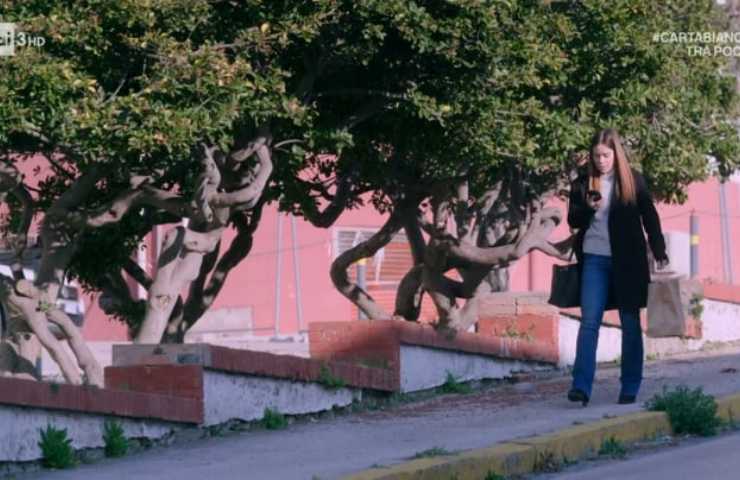 anticipazioni Un Posto al Sole