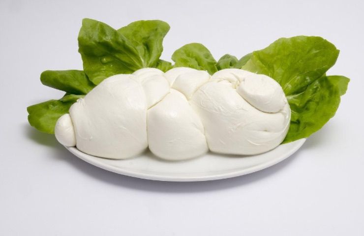 mozzarella bufala