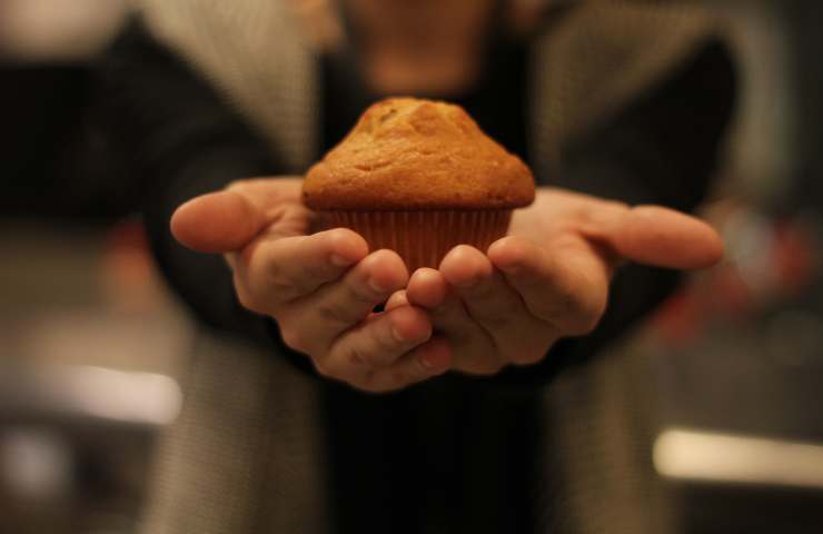 Muffin alle zucchine