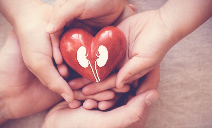 Salute cuore e reni