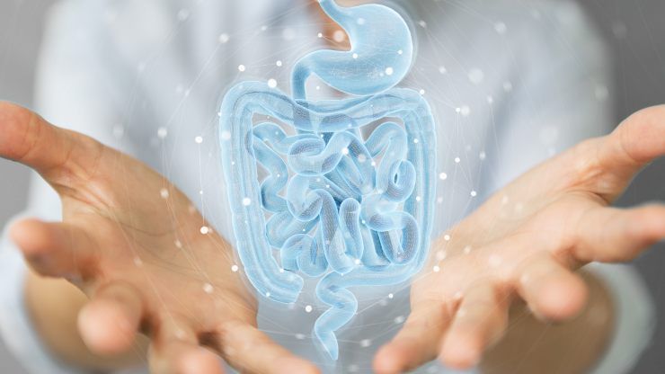 probiotici e intestino