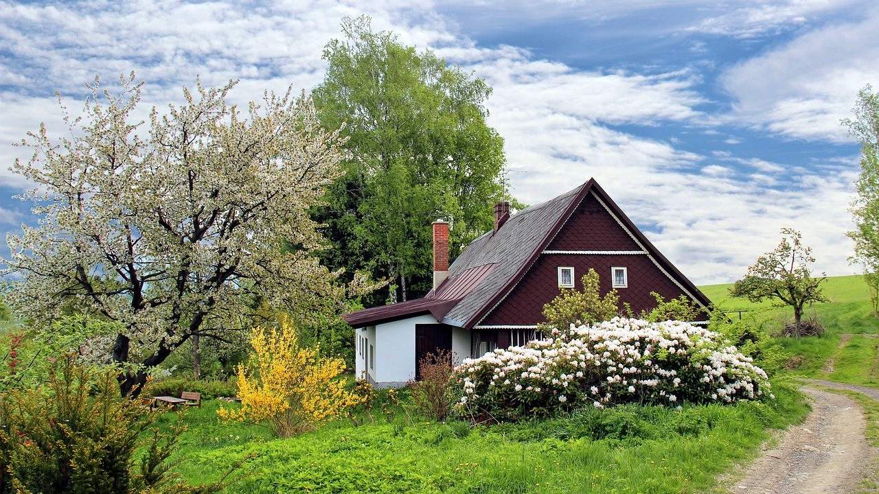 Micro-house