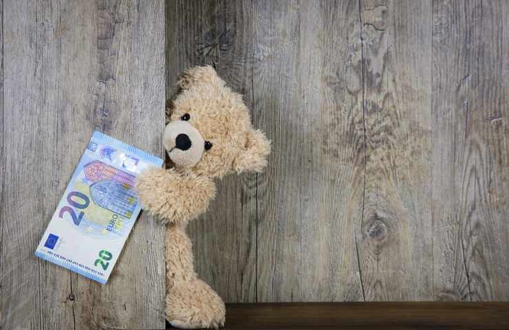 Un orsetto afferra 20 euro