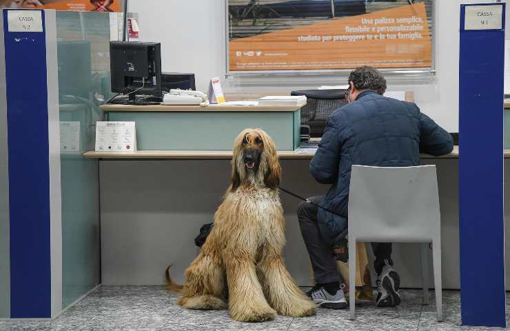 Un uomo durante una commissione in banca