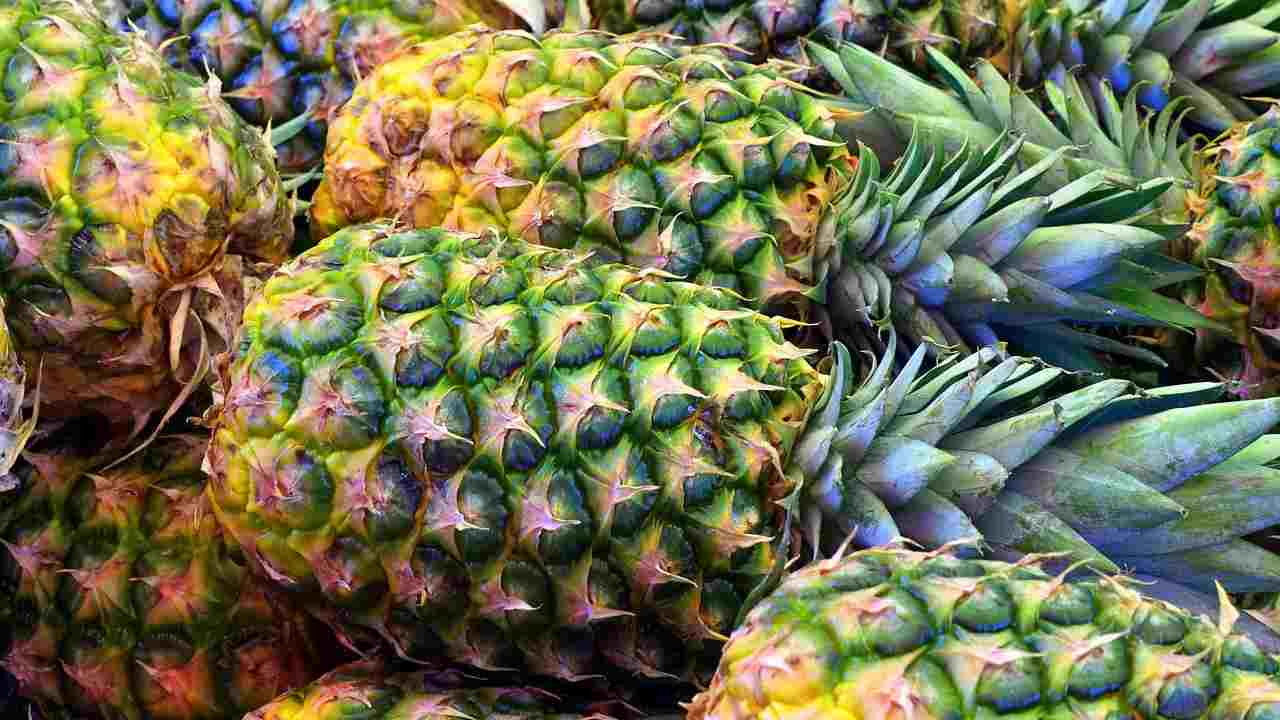 ananas gravidanza