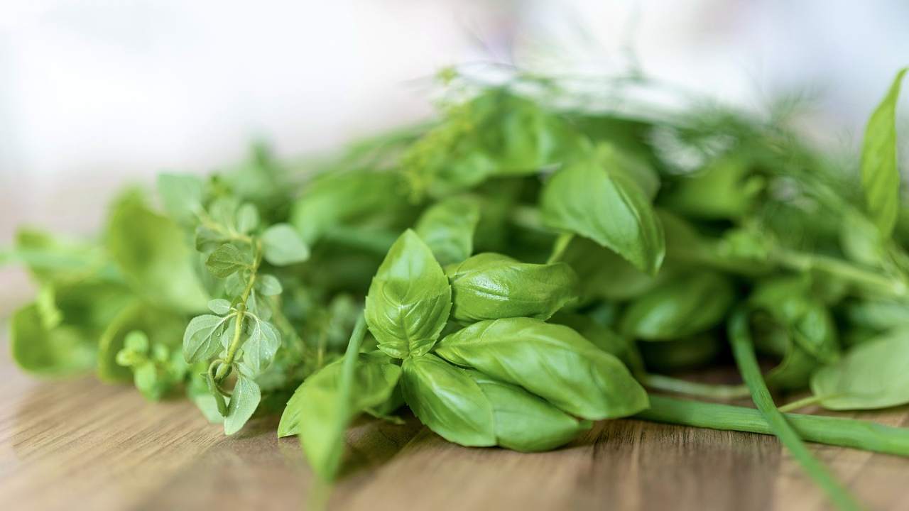 come moltiplicare basilico