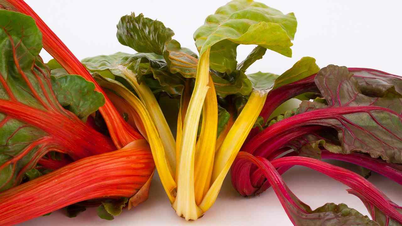 ossa alimenti calcio dieta