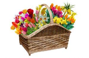Cesto fiori pasqua