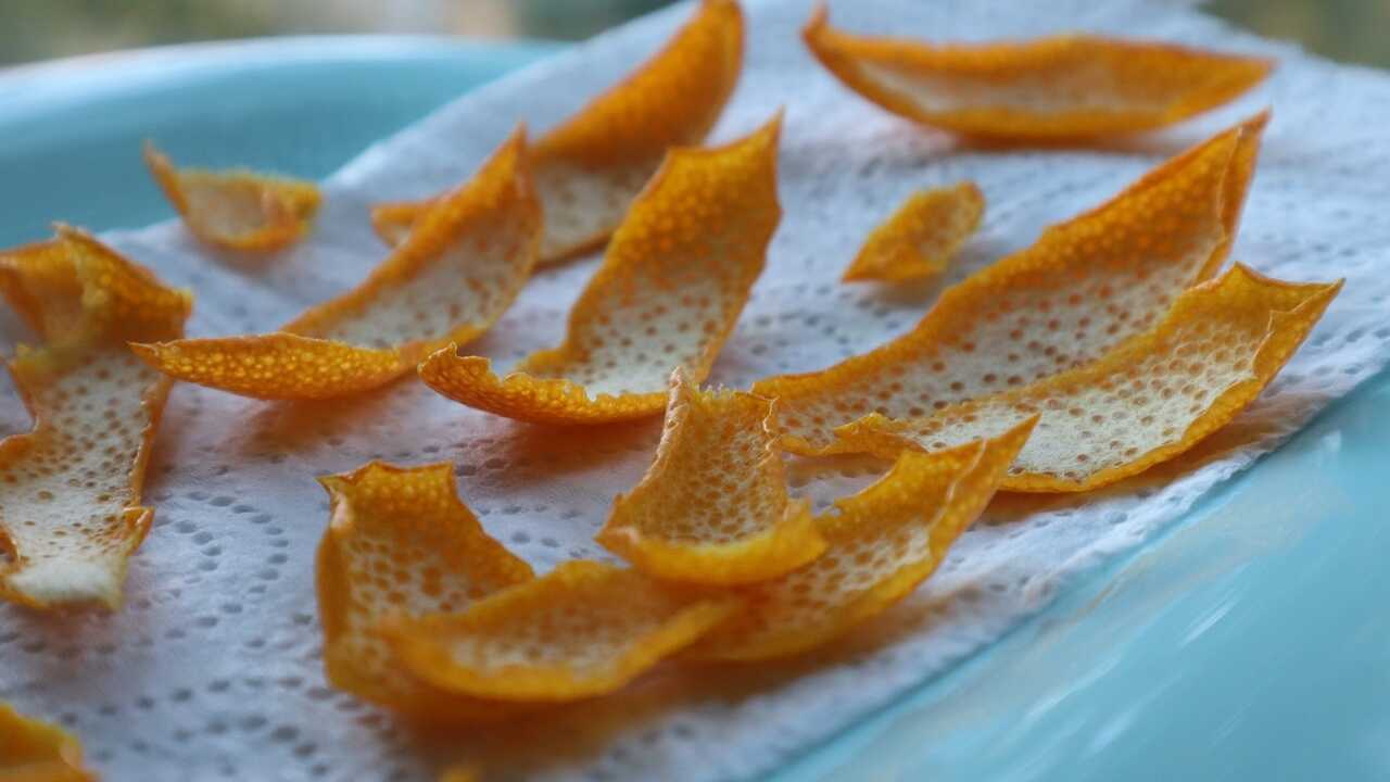 Masticare buccia arancia