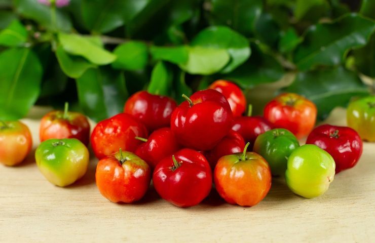 benefici acerola diabete