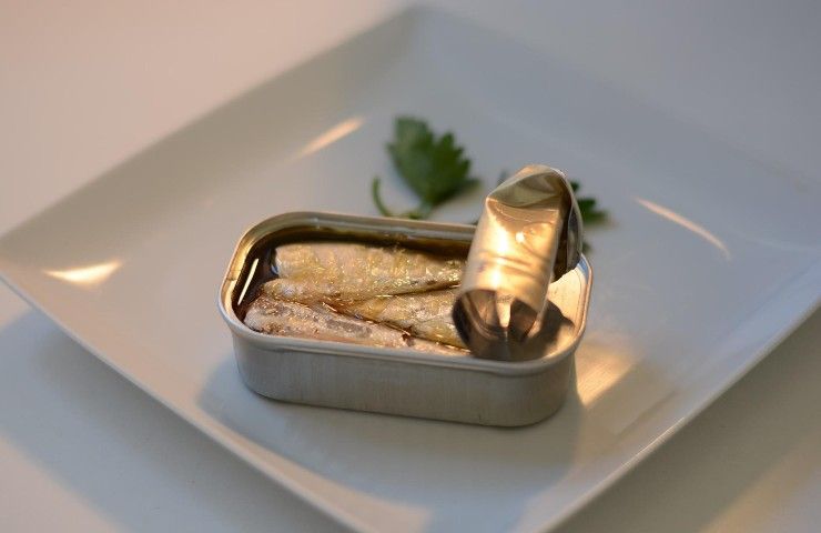 Pesce sott'olio