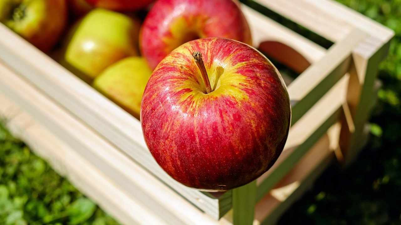 dieta della mela