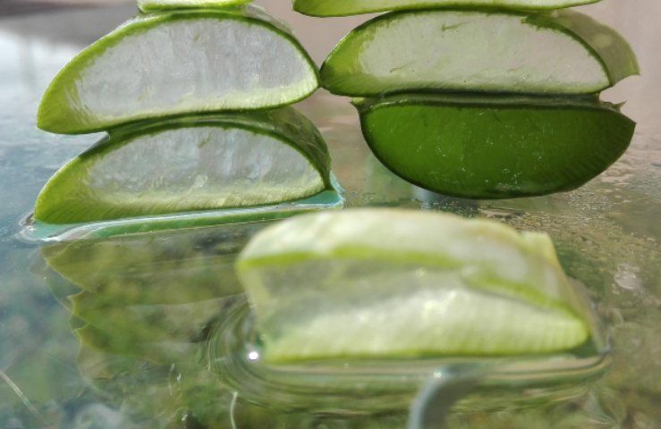 Gel aloe vera