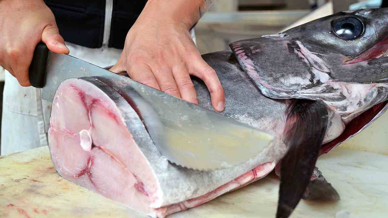 pesce spada pericolo