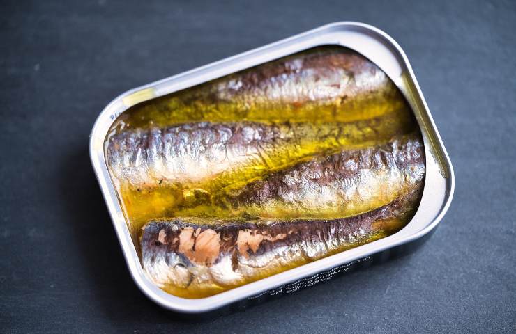Sardine scatola