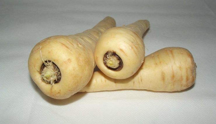 tuberi 