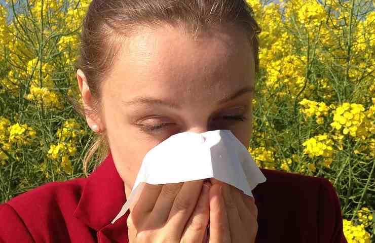 Allergia polline