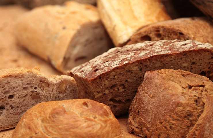 Diversi tipi di pane