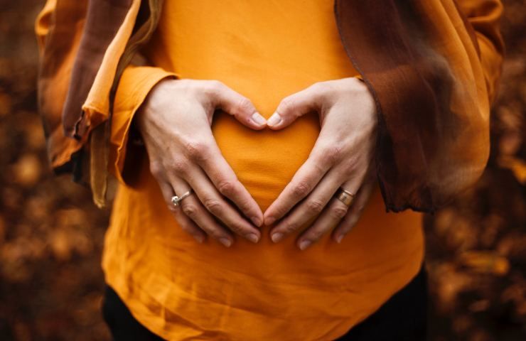 decotto malva benefici gravidanza