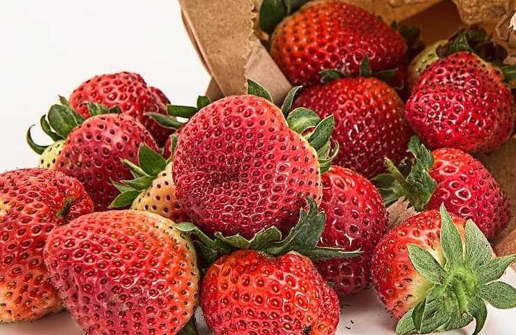 Fragole lavaggio