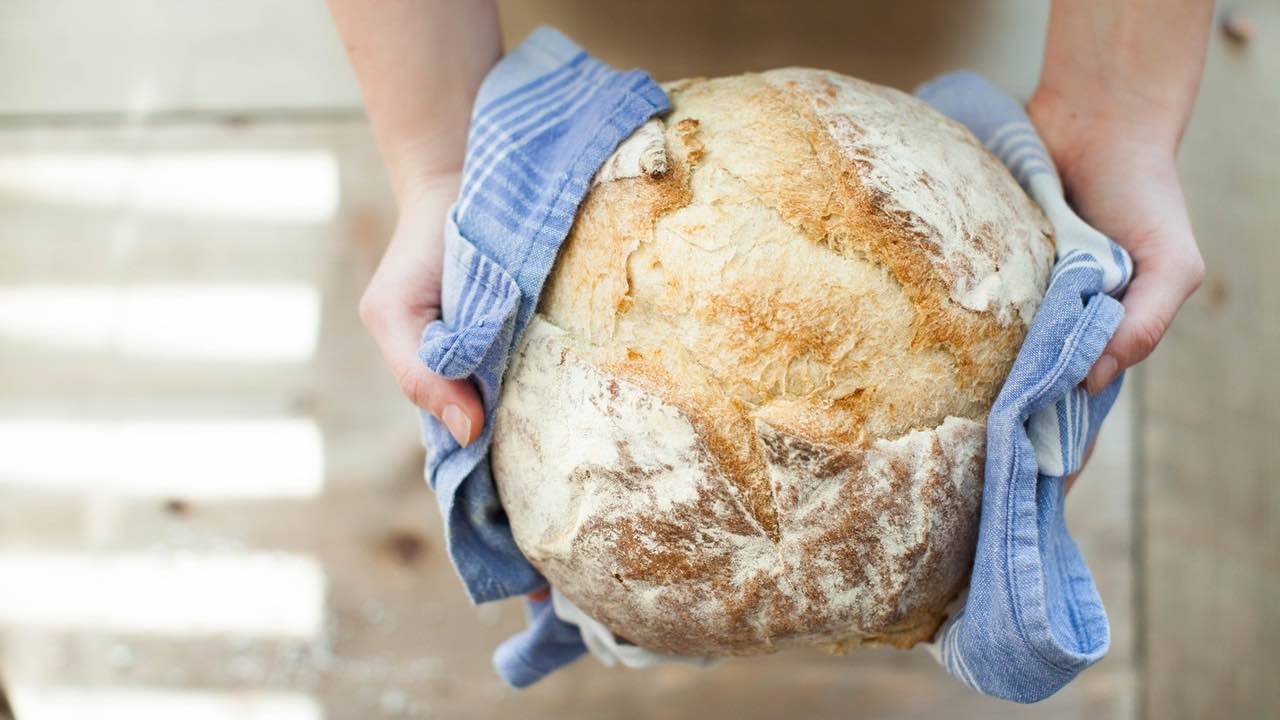 pane cibi