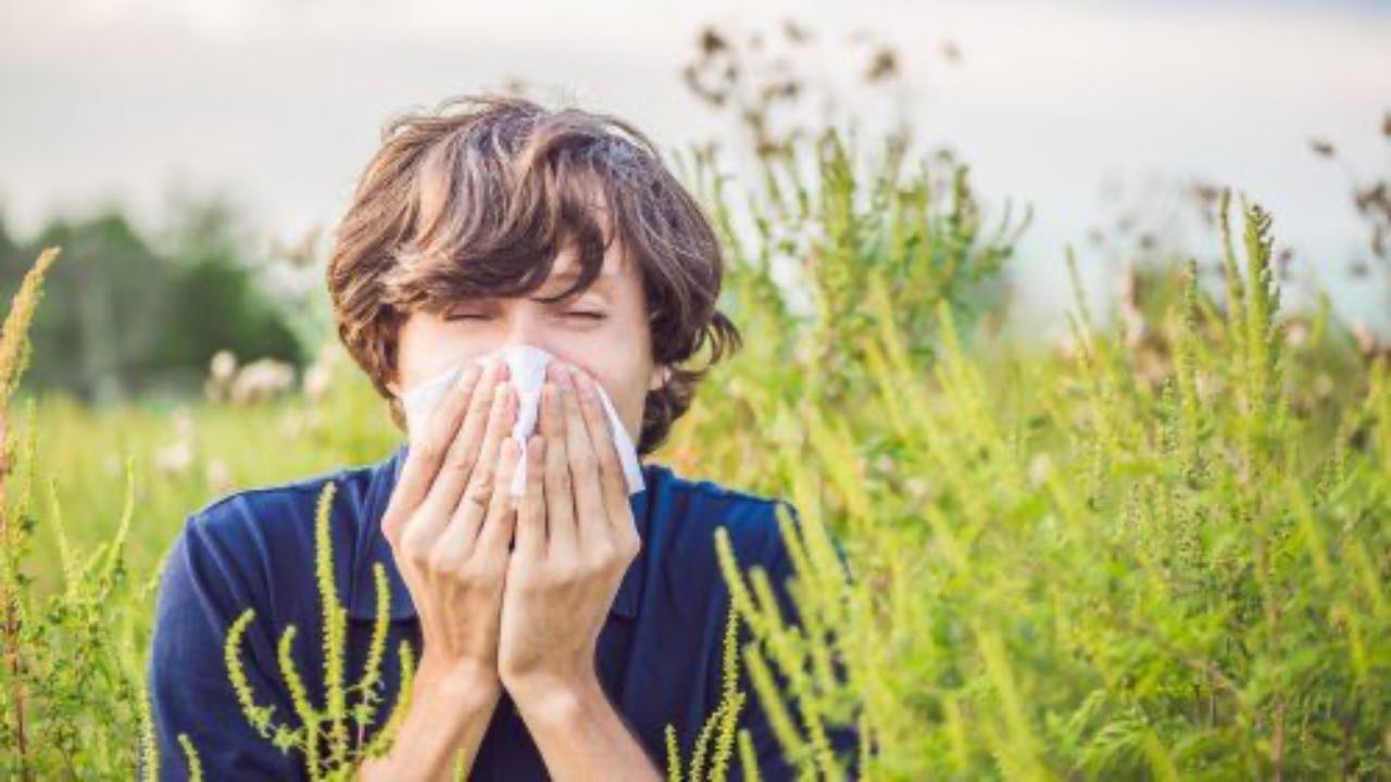 allergia graminacee alimenti da evitare