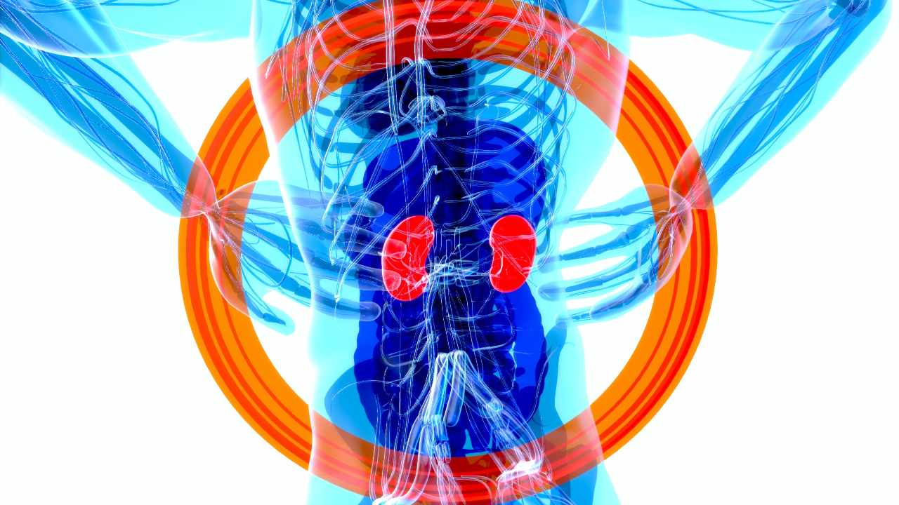 purificare reni alimenti