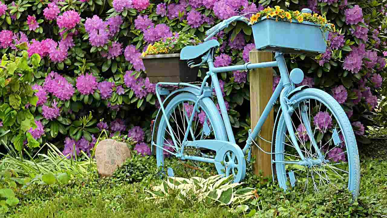 bicicletta oggetto arredo