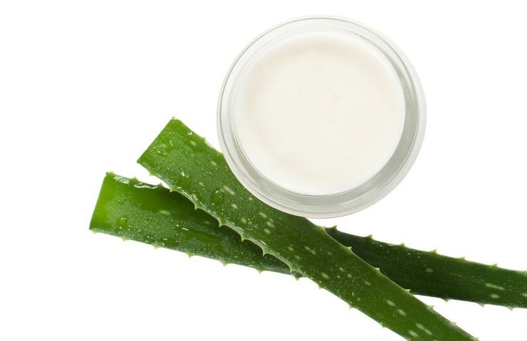 Un vasetto di crema all'aloe vera