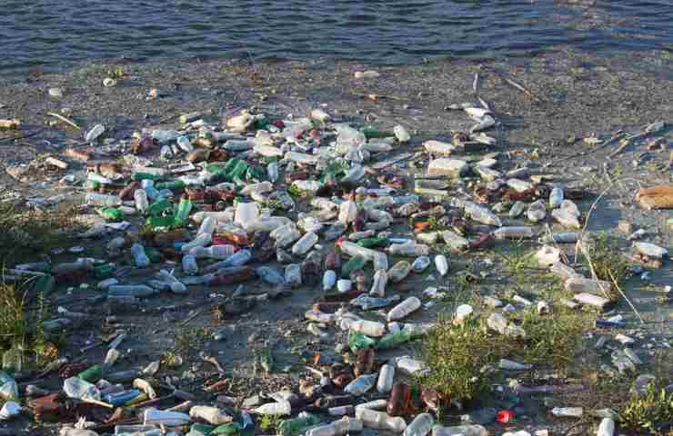 Una spiaggia infestata dai rifiuti