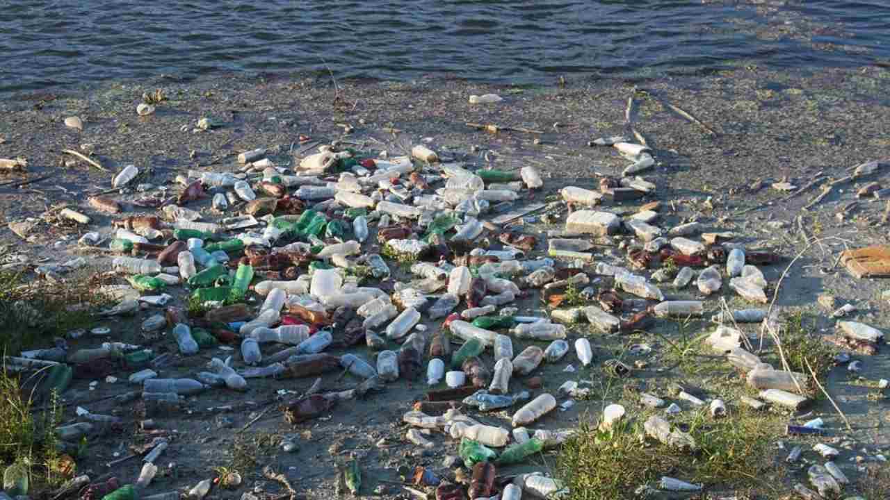inquinamento da plastica enzima rifiuti