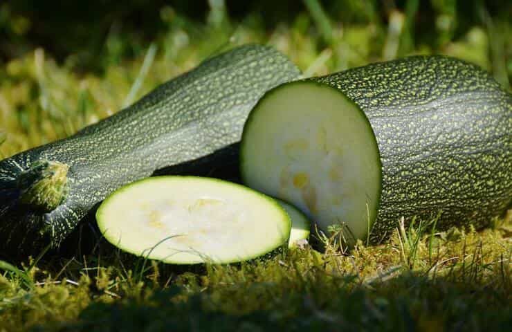 Zucchina tagliata (Foto Pixabay)