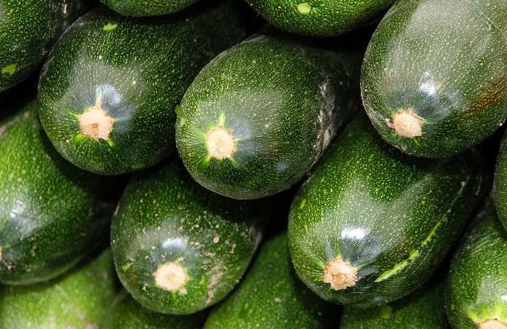 green zucchini recipe