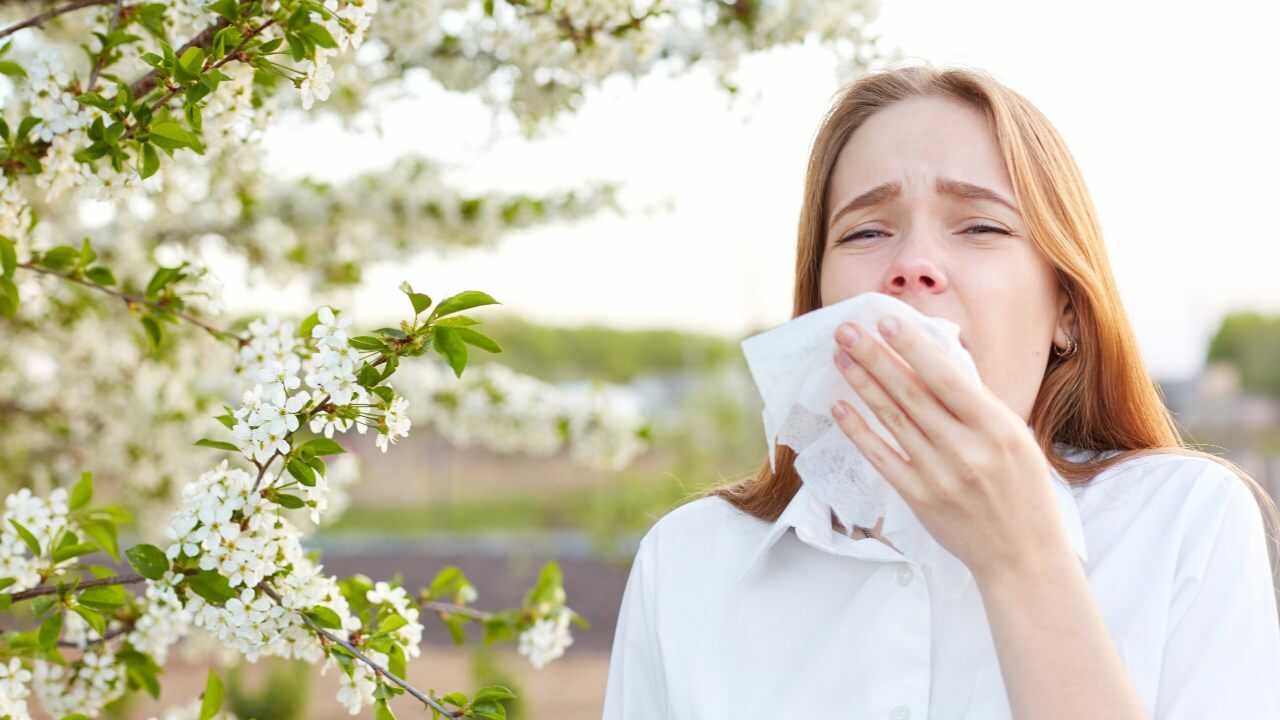 Cibi allergia polline