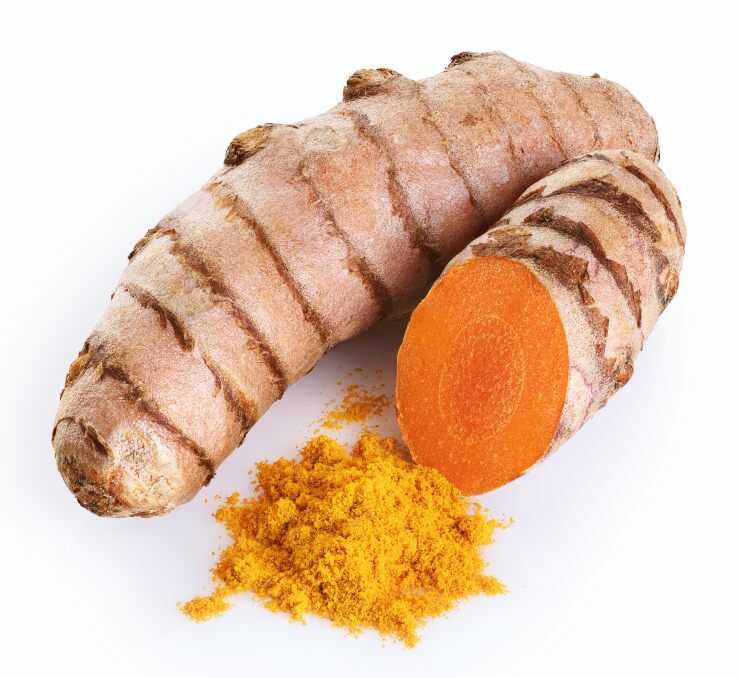 Curcuma