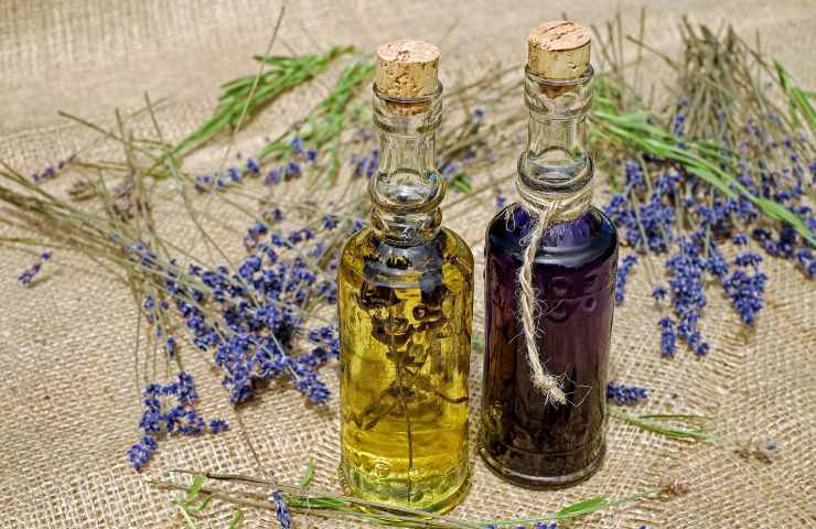 Fragranze