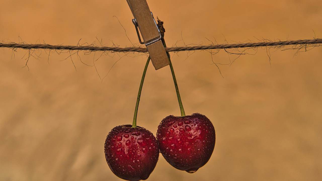 lavare alimenti aceto