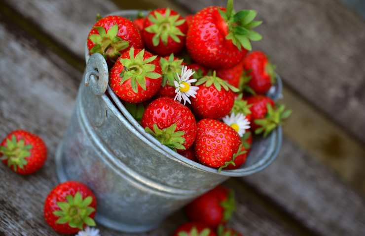 Fragole