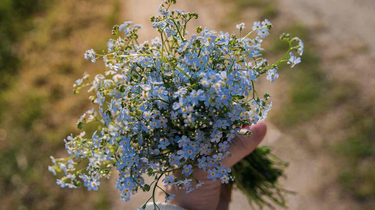 mazzo di fiori trucchi