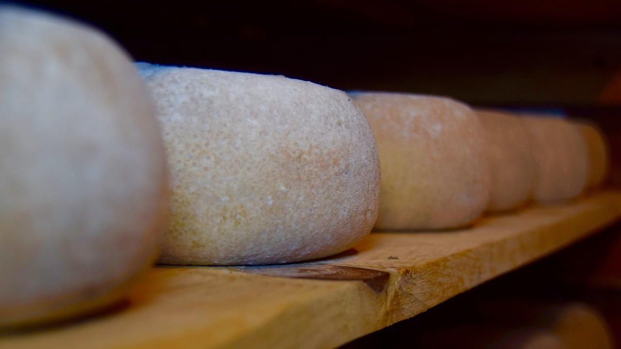 Allerta alimentare formaggio