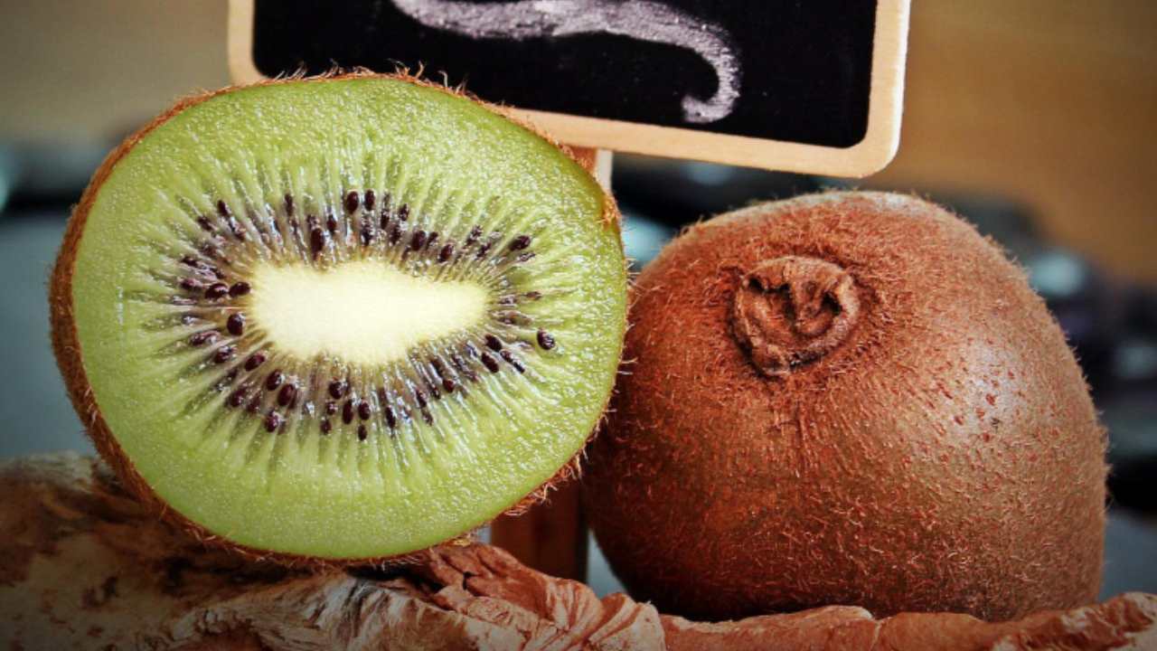 kiwi