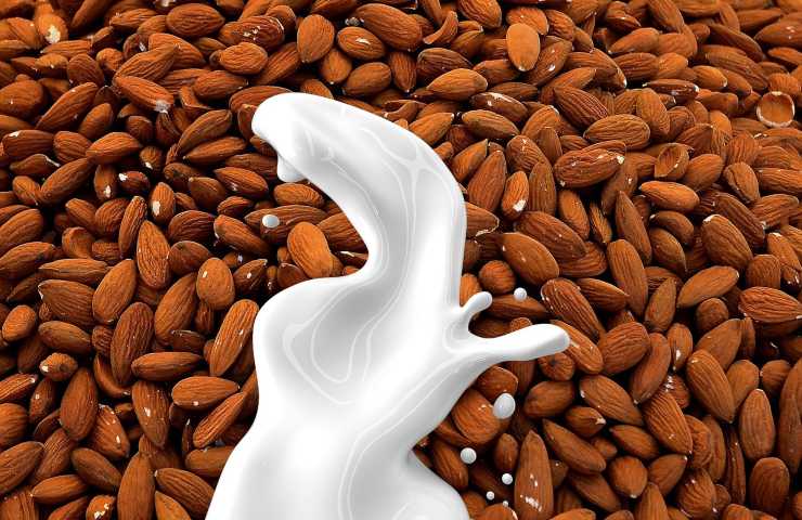 Latte mandorla