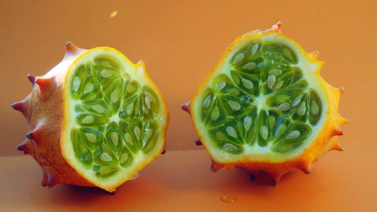 melone cornuto benefici